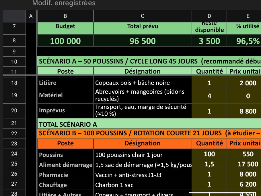Plan de Décaissement 100K